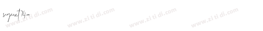 segment 14字体转换
